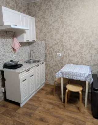 Студия, 24 м², ст. м. Девяткино