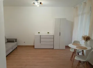 Студия, 29 м², ст. м. Девяткино