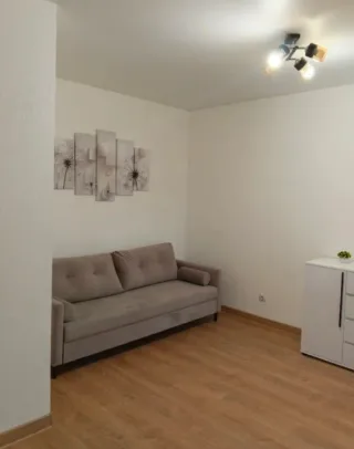 Студия, 29 м², ст. м. Девяткино