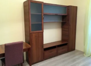 Студия, 25 м², ст. м. Девяткино