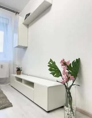 Студия, 24 м², ст. м. Комендантский проспект