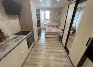 Студия, 24 м², ст. м. Девяткино