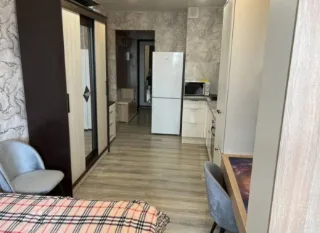 Студия, 24 м², ст. м. Девяткино