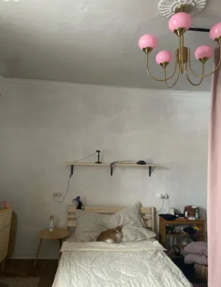 Комната, 20 м², ст. м. Спортивная