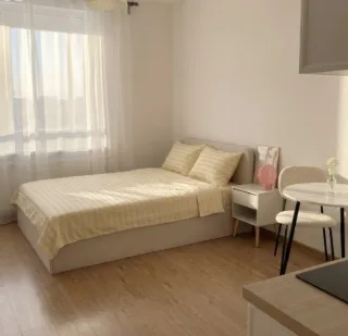 Студия, 24 м², ст. м. Улица Дыбенко
