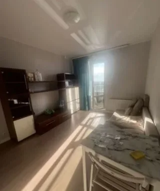 Студия, 24 м², ст. м. Улица Дыбенко