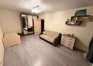 1-к. кв., 39 м², ст. м. Проспект Просвещения