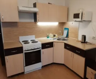 Студия, 24 м², ст. м. Улица Дыбенко