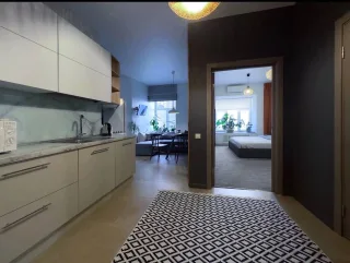 1-к. кв., 40 м², ст. м. Площадь Александра Невского