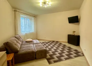 2-к. кв., 60 м², ст. м. Проспект Большевиков