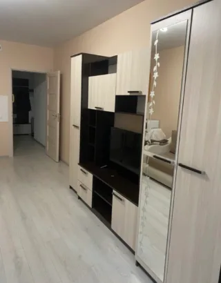Студия, 30 м², ст. м. Проспект Ветеранов