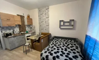Студия, 29 м², ст. м. Девяткино