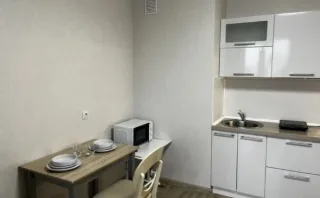 Студия, 26 м², ст. м. Пионерская