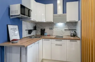 Студия, 23 м², ст. м. Старая Деревня