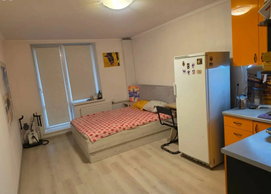 Студия, 26 м², ст. м. Девяткино