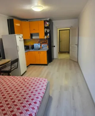 Студия, 26 м², ст. м. Девяткино