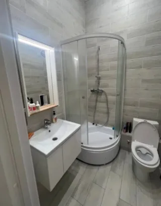 Студия, 25 м², ст. м. Проспект Просвещения