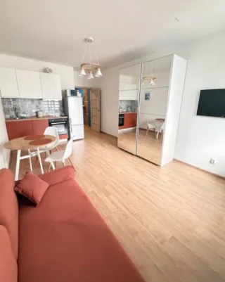 Студия, 25 м², ст. м. Девяткино