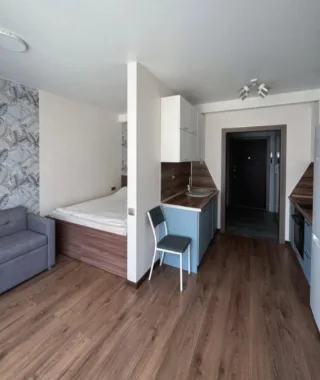 Студия, 27 м², ст. м. Обводный канал