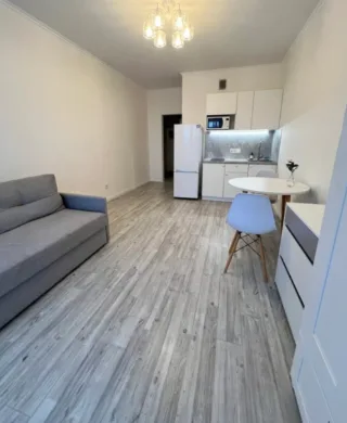 Студия, 25 м², ст. м. Комендантский проспект