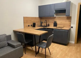 Студия, 24 м², ст. м. Улица Дыбенко