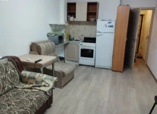 Студия, 25 м², ст. м. Проспект Большевиков