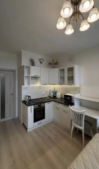 Студия, 24 м², ст. м. Девяткино