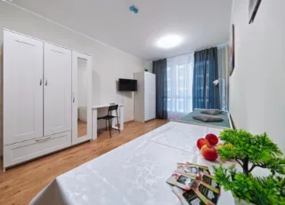 Студия, 22 м², ст. м. Парнас