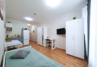 Студия, 22 м², ст. м. Парнас