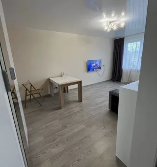 1-к. кв., 33 м², ст. м. Проспект Просвещения