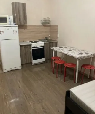 Студия, 24 м², ст. м. Девяткино