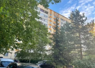 1-к. кв., 40 м², ст. м. Проспект Ветеранов